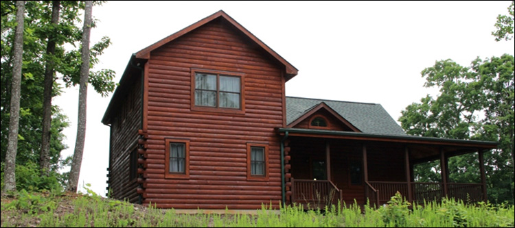 Professional Log Home Borate Application  Crawford County, Georgia